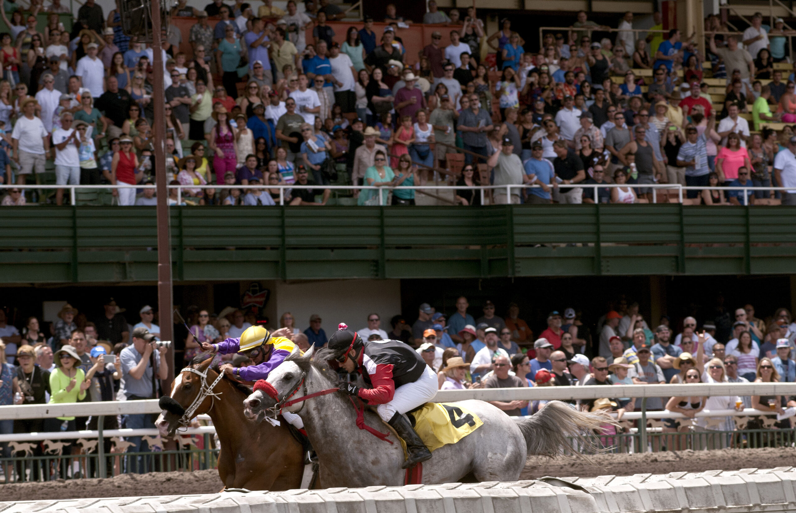 Alameda County Fair Horseracing